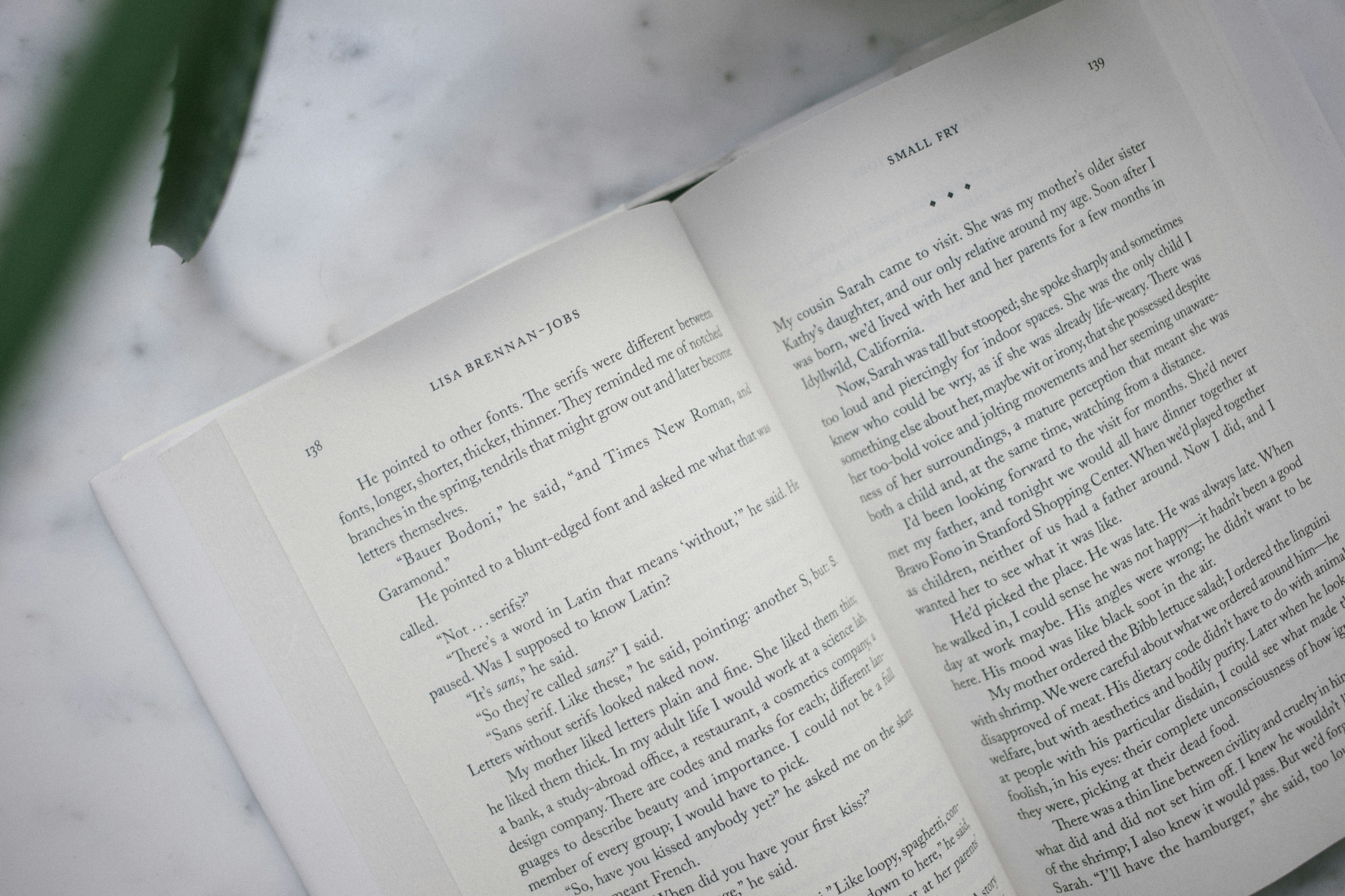 Small Fry by Lisa Brennan-Jobs